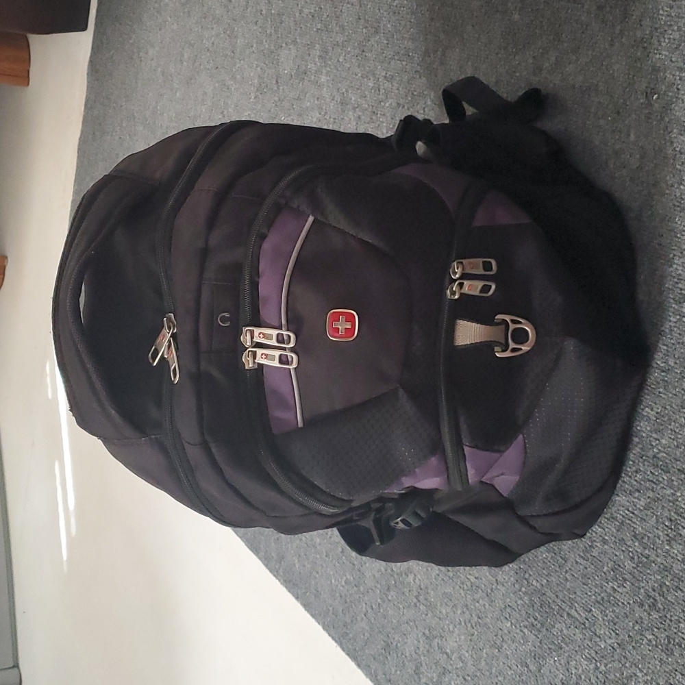 Swiss Alps Laptop Backpack